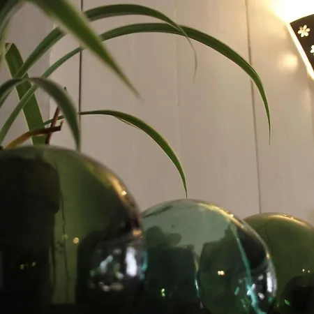 L'itinerante Le Somail