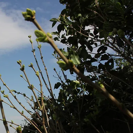 L'itinerante بيت ضيافة 3*