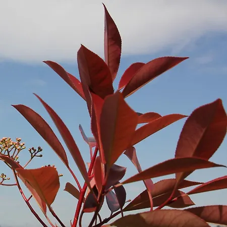 L'itinerante بيت ضيافة 3*