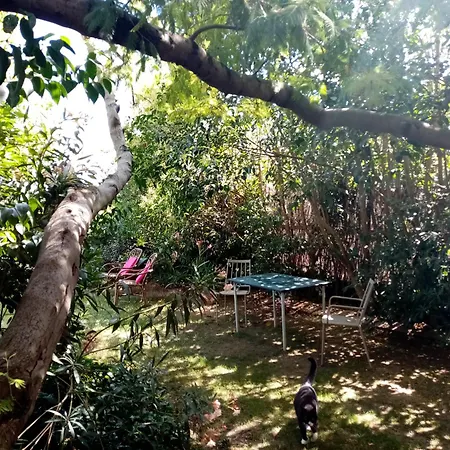 L'itinerante Guest house *